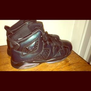 Jordan “Chameleon” 6s